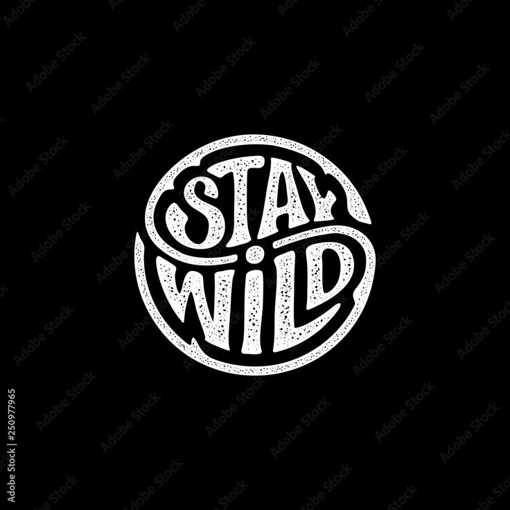 Indian Type Beat - Stay Wild