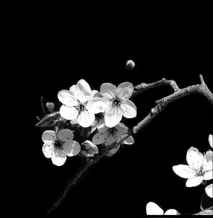 2HOLLIS X HARD X EXPEIMENTAL type beat