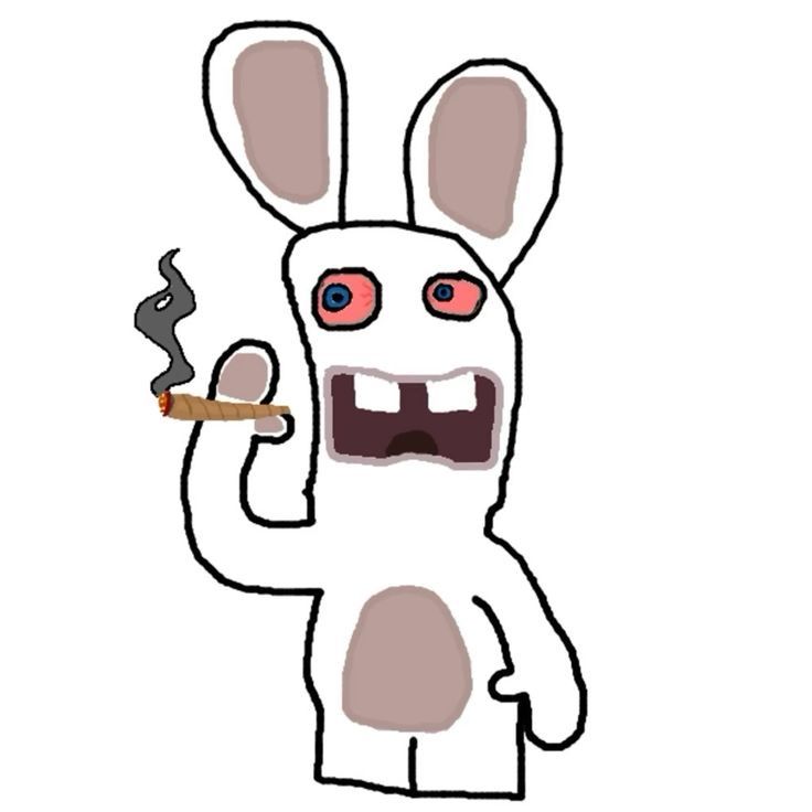 blood and guts bitches