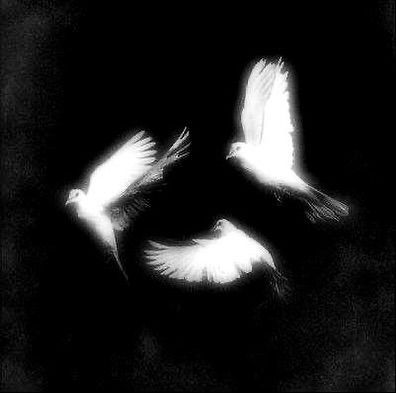 CHE X KEN CARSON X HARD X RAGE type beat