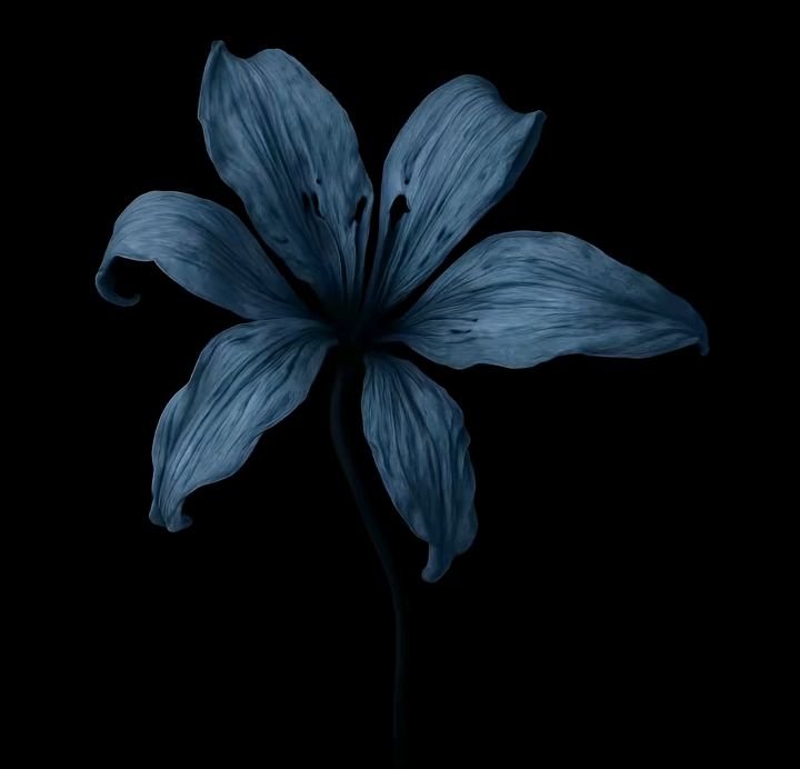 FLXRA x Destoy Lonely Type Beat