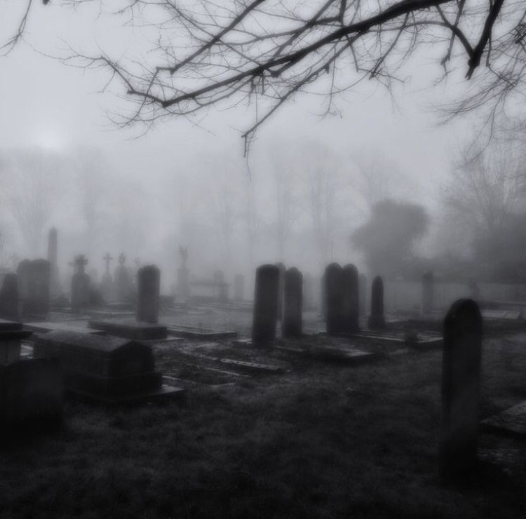 Melodic trap type beat