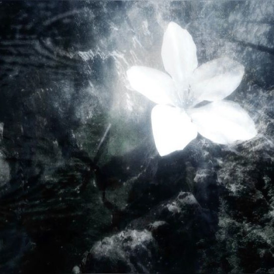 ch2rms x archivecore x hyperpop type beat - fragrance