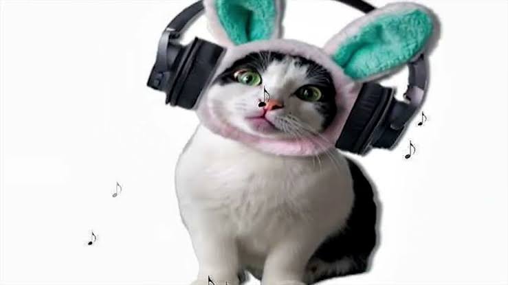 meow