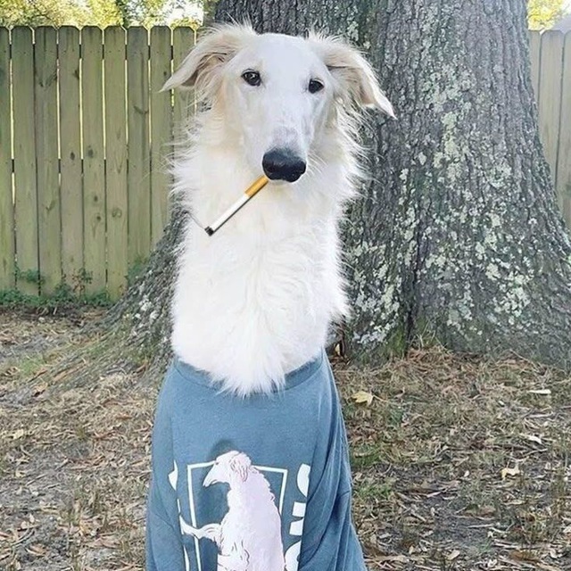 freaks #bass #2hollis #kayyo