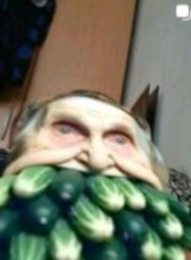 trippin forest with fairies