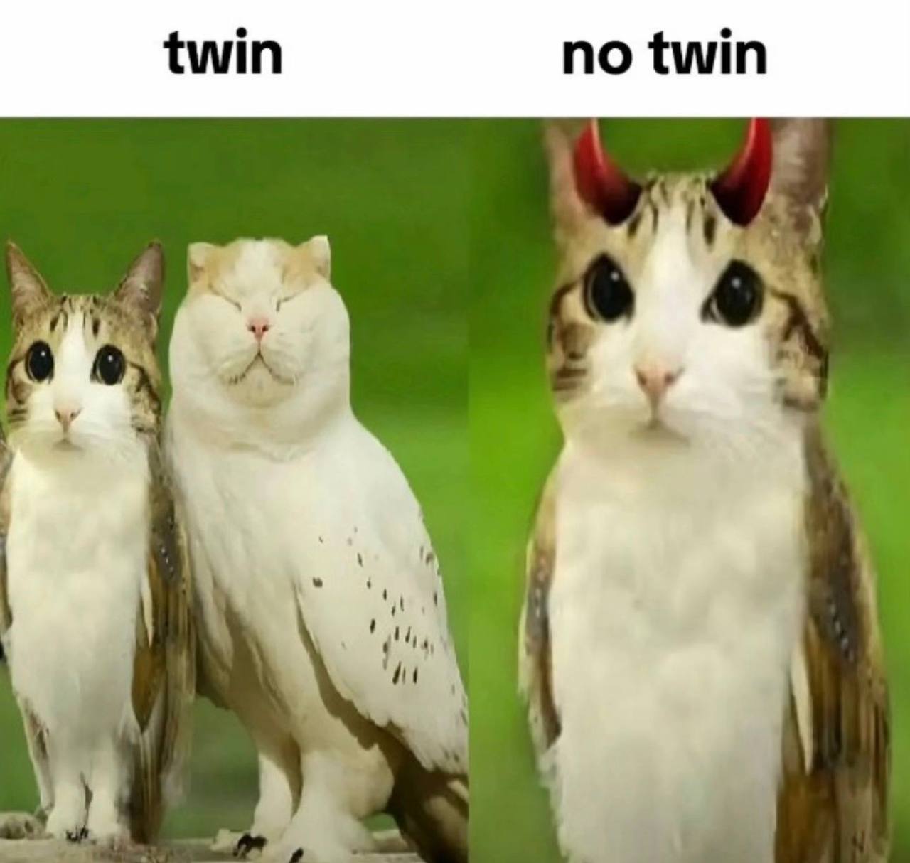 uber_170_@muffett (che,xaviersobased,nettspend,slump6s)