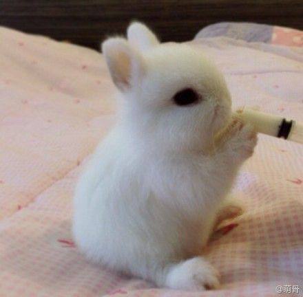 PLATINA X PLOHOPAREN TYPE BEAT