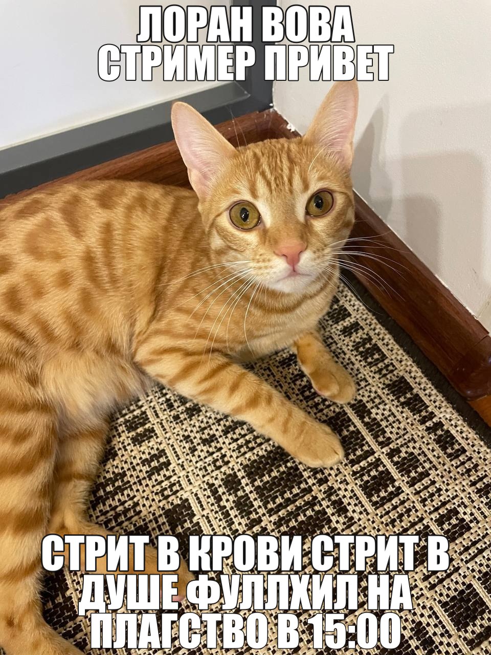 пирогсовкусоммелодайна