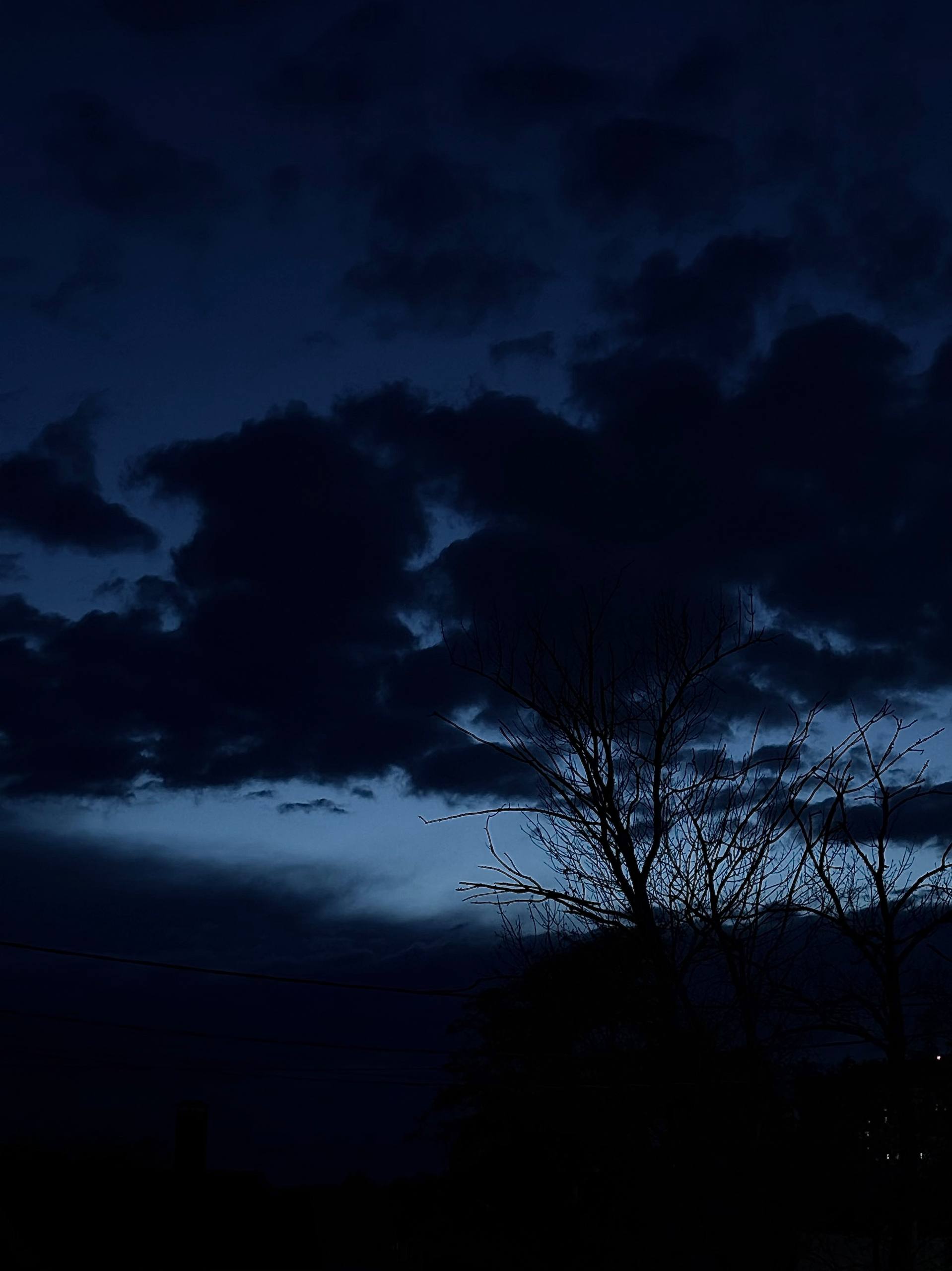 Dark Hallucinations