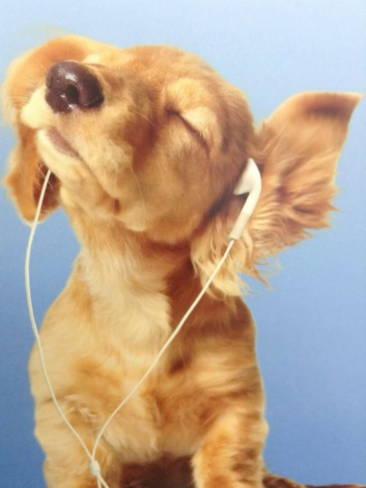 110 BPM Amin NaturaL