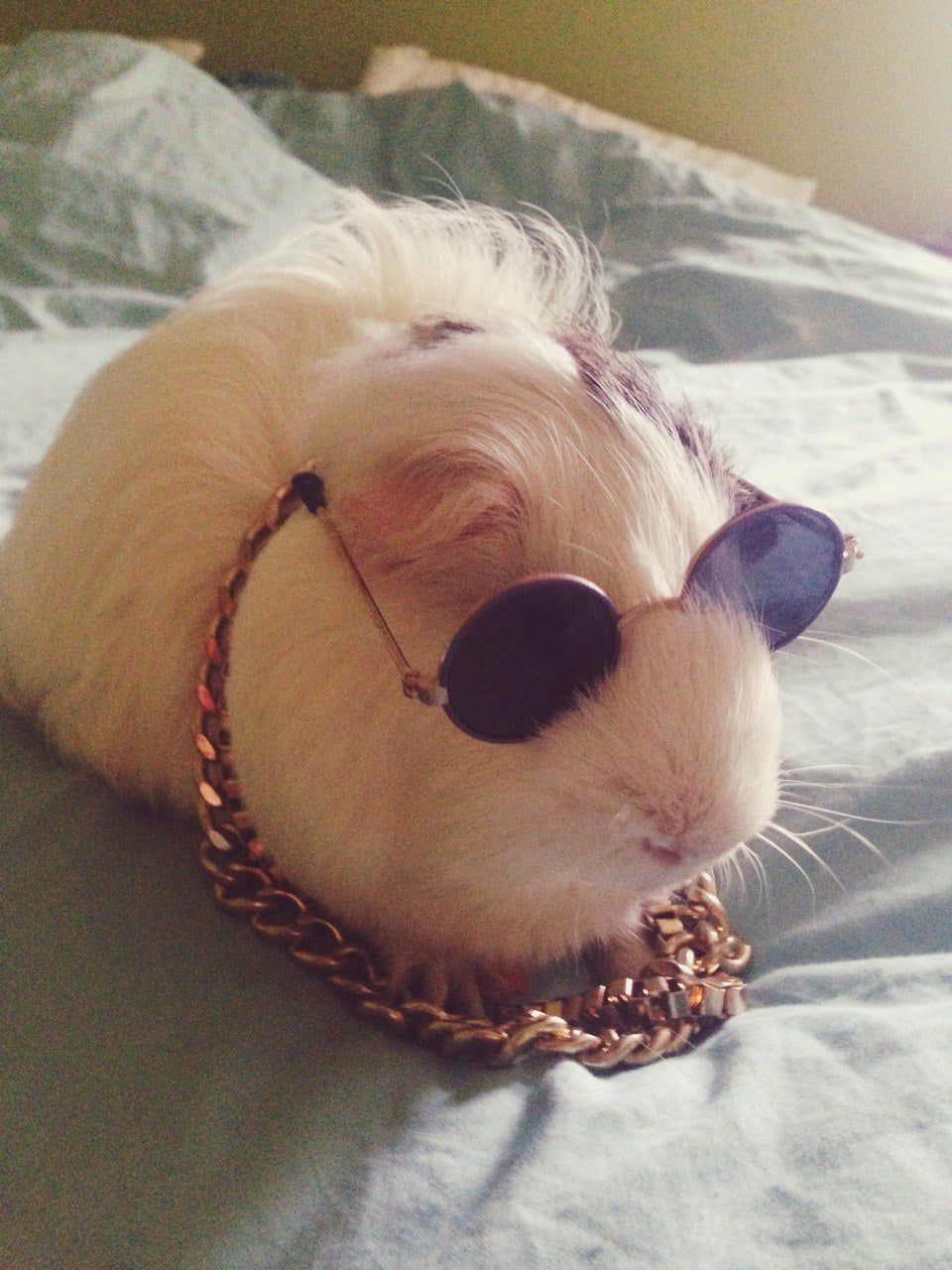 jamesbrown makkgin 130jajo boolymon type beat